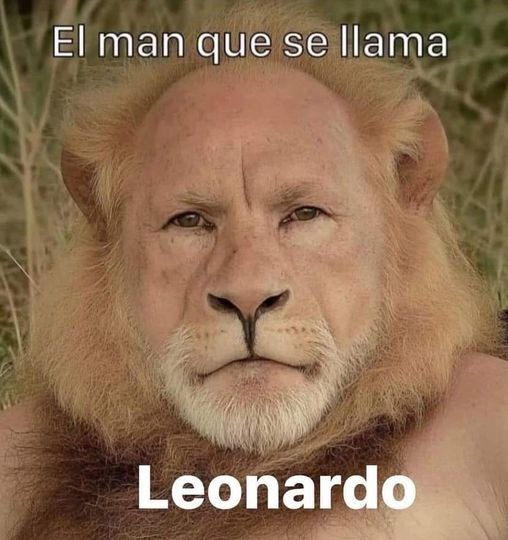 Los leo - meme