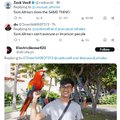 commented item thumbnail