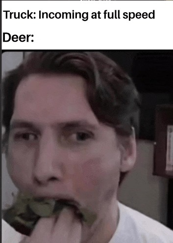 real - meme