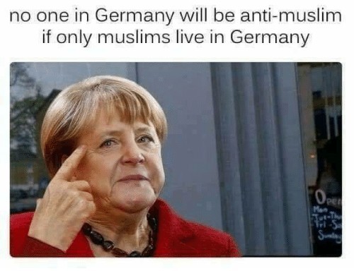 Merkel ze dyke - meme