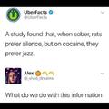 Rats prefer jazz when on cocaine