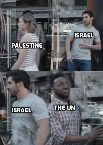 dongs in a palestine - meme