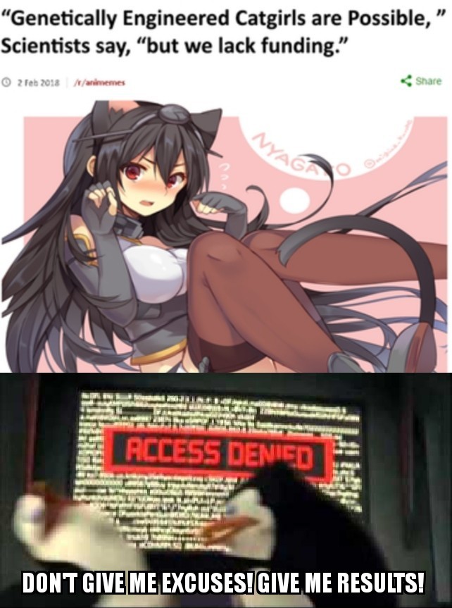 Cat girls when? - Weebs and Their Memes