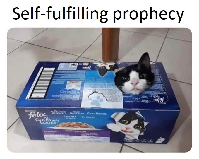 Self-fulfilling prophecy - meme