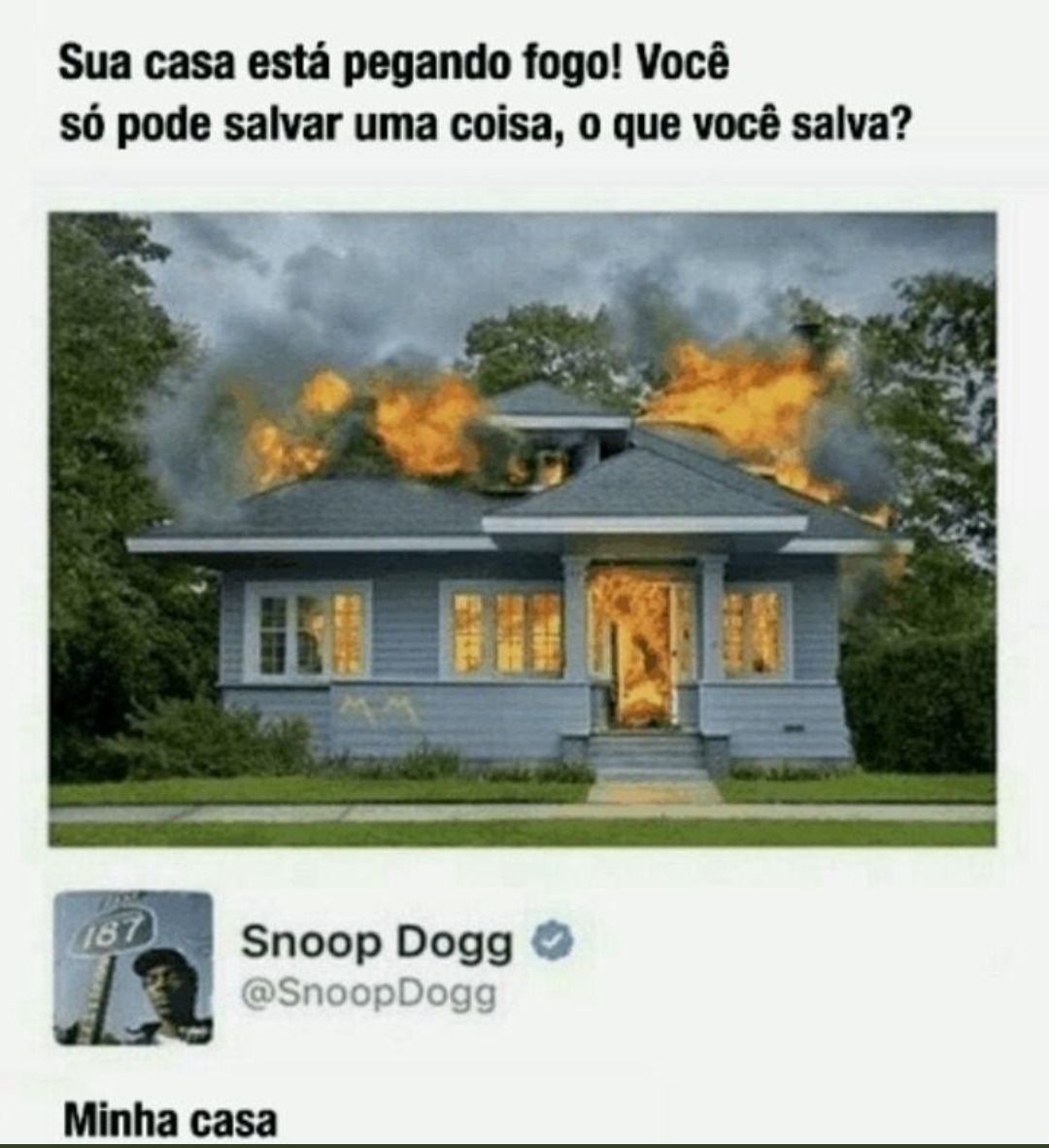 Snoop dogg - meme