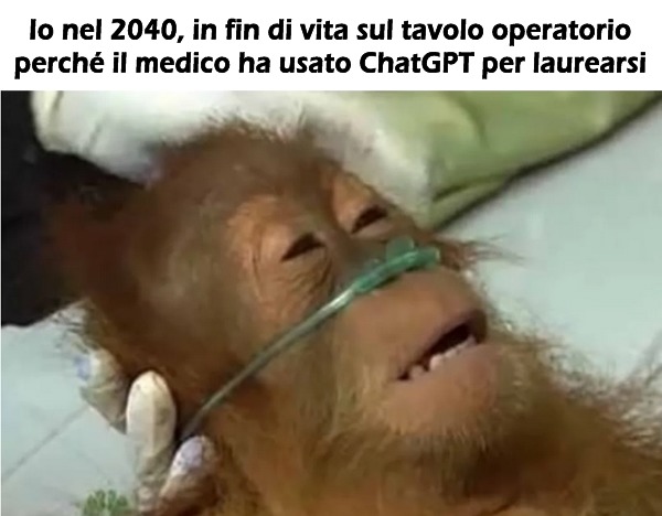 ChatGPT - meme