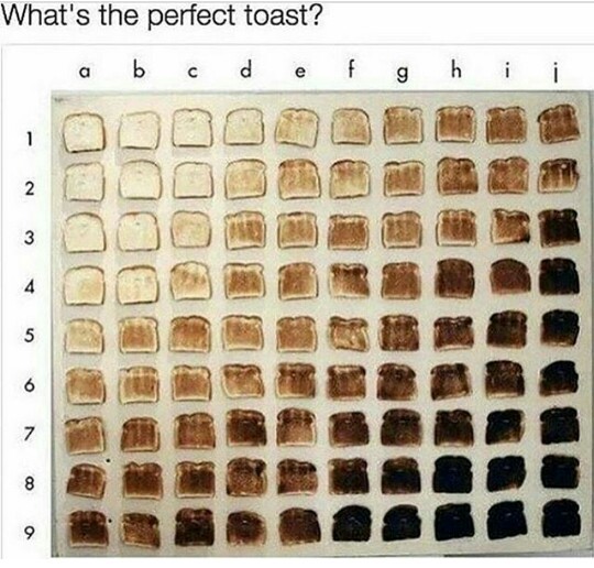 What's the best toast? - meme