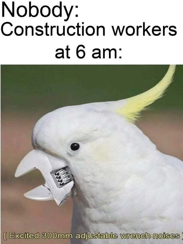 Construction workers at 6am - meme