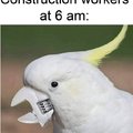 Construction workers at 6am