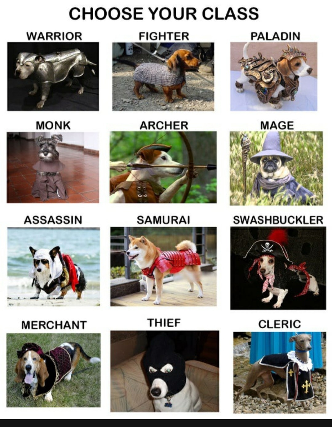 Chose your doggo clan - meme