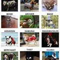 Chose your doggo clan