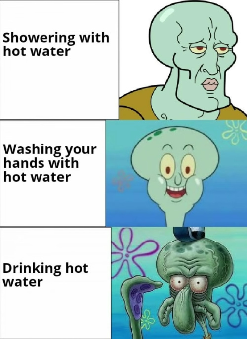 spongebob memes never get old