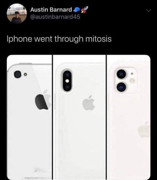 Iphone went through mitosis - meme