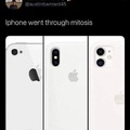 Iphone went through mitosis