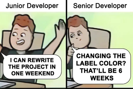 Junior vs Senior developer - meme