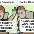 Junior vs Senior developer