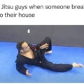 Jiu Jitsu meme