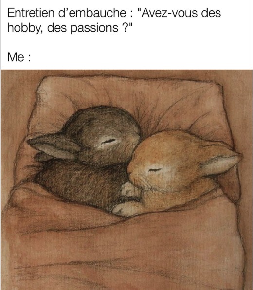 « very good napeur » - meme