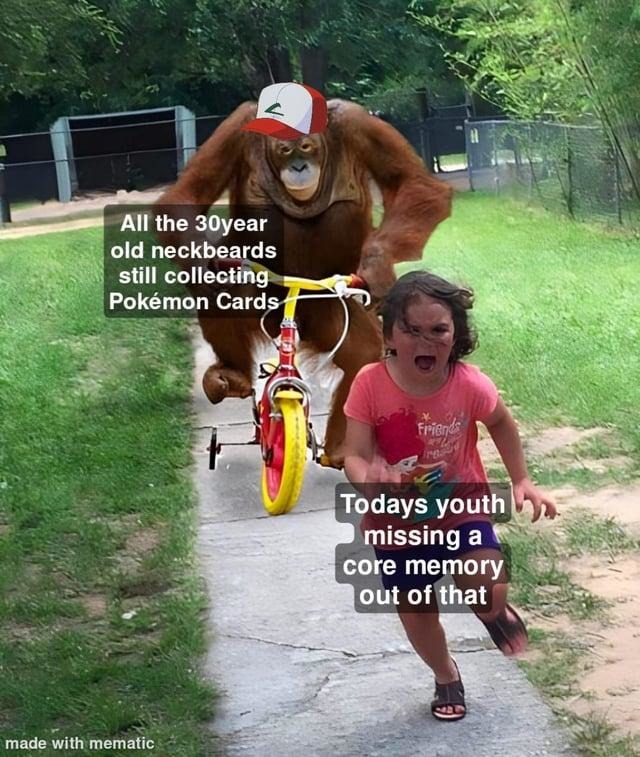 30-year-olds defending their Pokémon card stash like it's national treasure - meme
