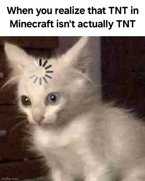 Minecraft lied about TNT and I want answers - meme