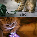 Cat's new generation