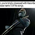 fav harambe song is "dicks out"