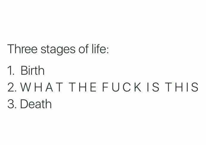 Stages Of Life - meme