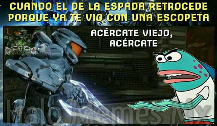 Resultado de imagen para memes halo