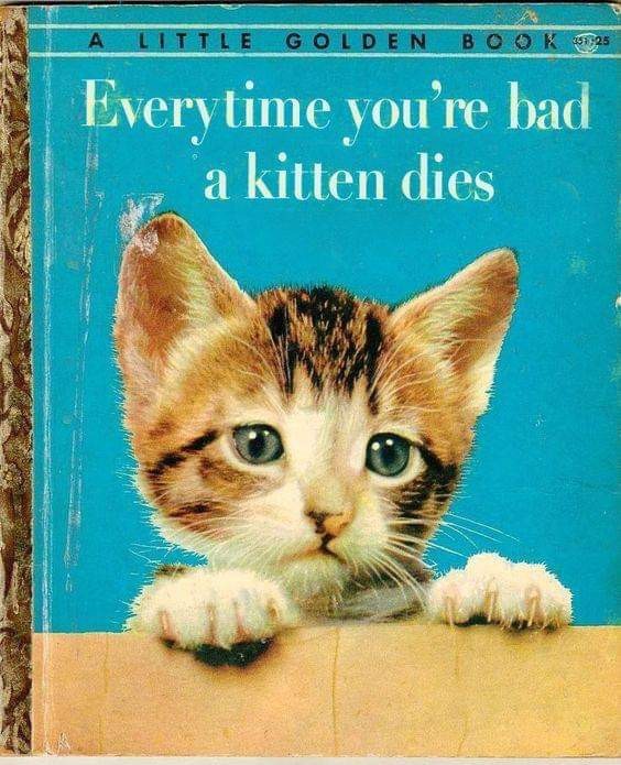 Ive killed a lot of kittens - meme