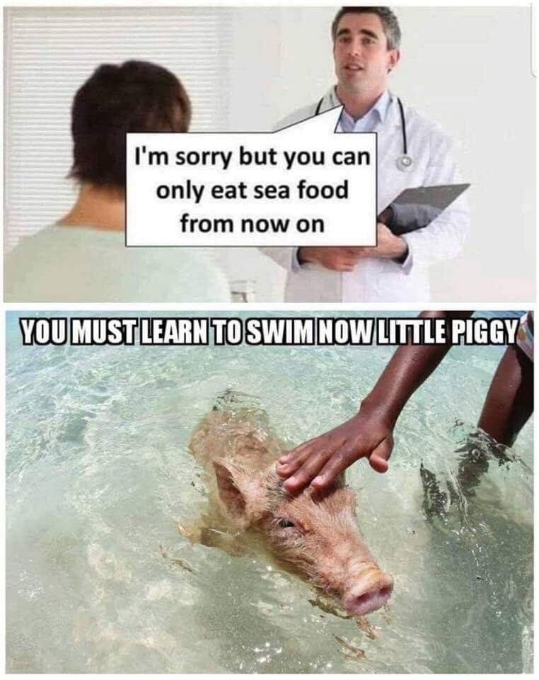 Mmmm sea pigs - meme