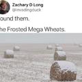 At my wheat's end.