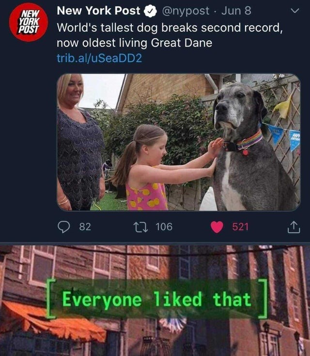 Good wholesome doggo meme