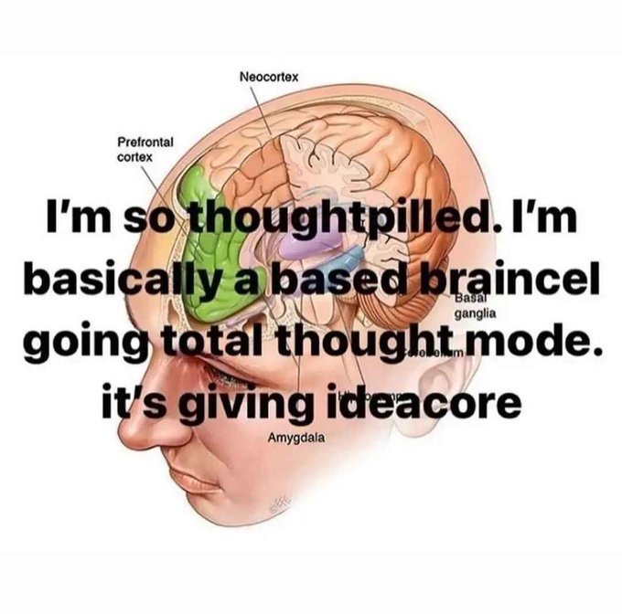 expanding brain - meme
