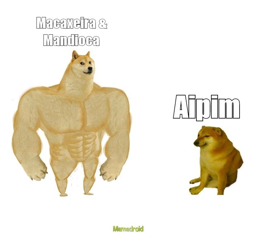 Nome de macho - meme