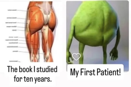 the body medicine students study - meme