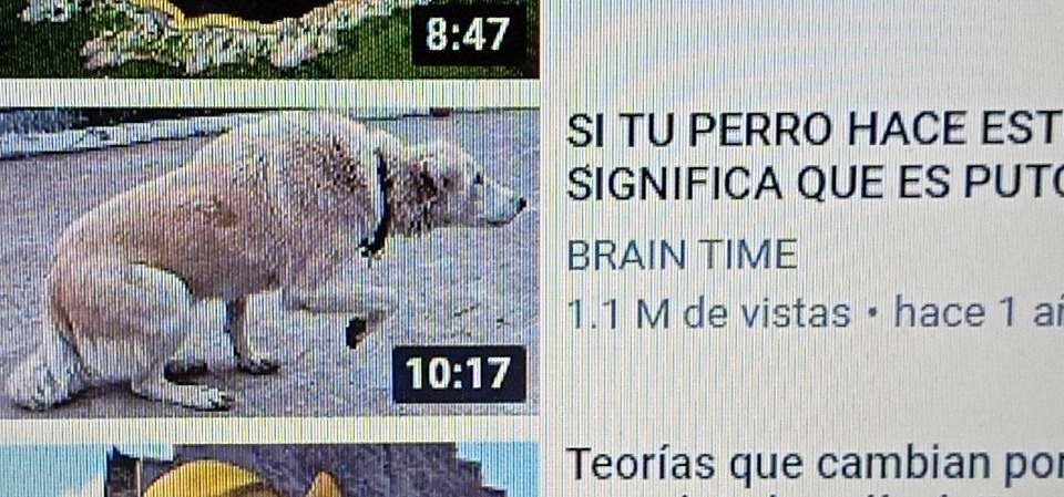 Youtube recomendando: - meme