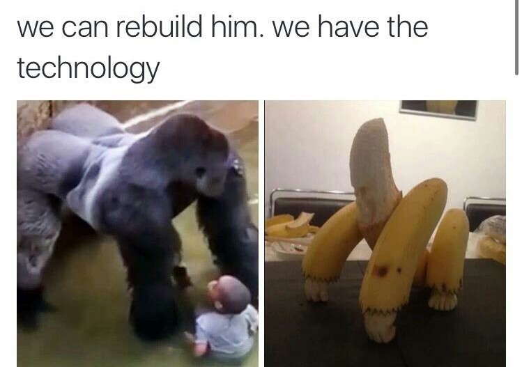 harambe was only a cbl - meme