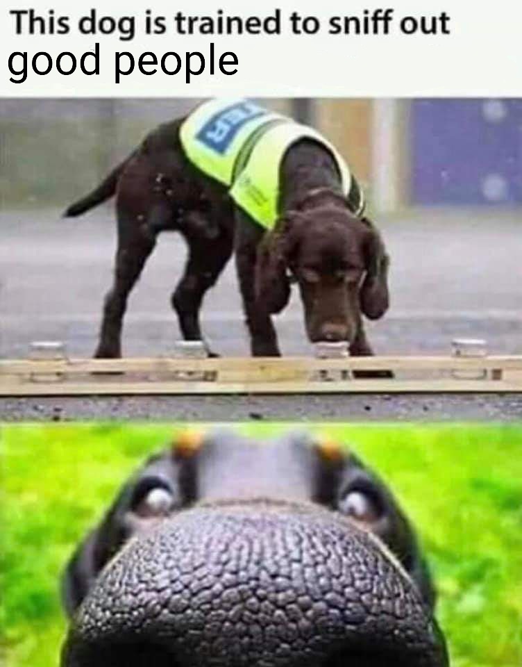 You're a good person that I care about. Doggo says: Who's a good person