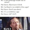 NC in a pet store