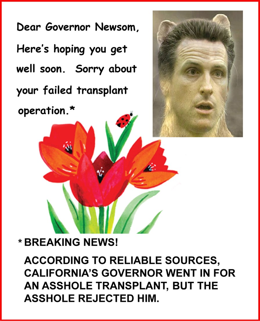 Gavin Newsom's Failed Transplant Operation - meme