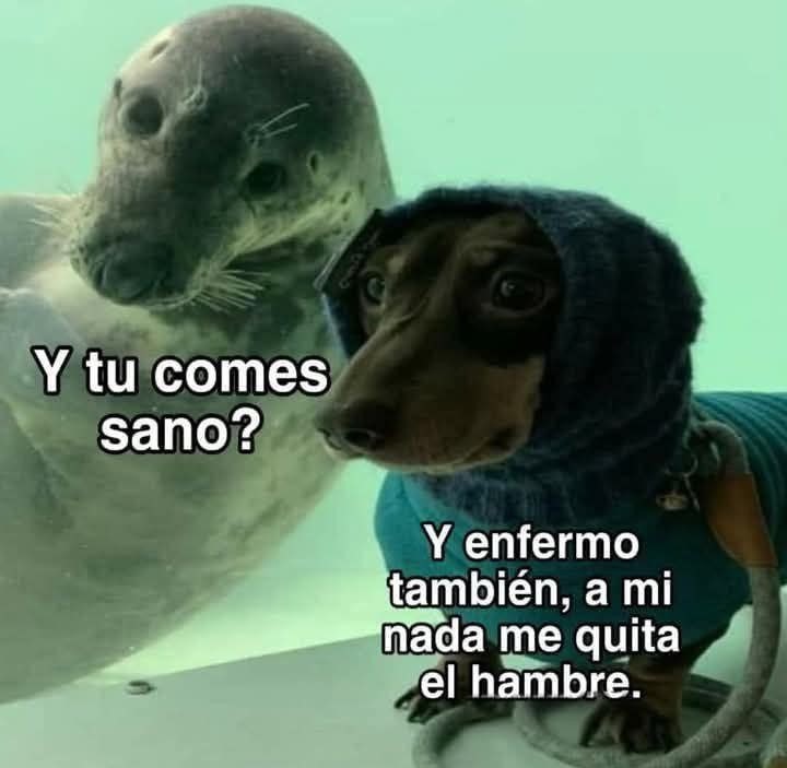 Comes sano? Sí, y enfermo también - meme
