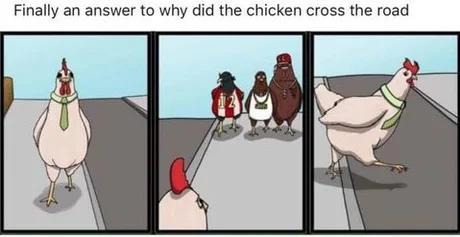 Chicken finally explained itself - meme