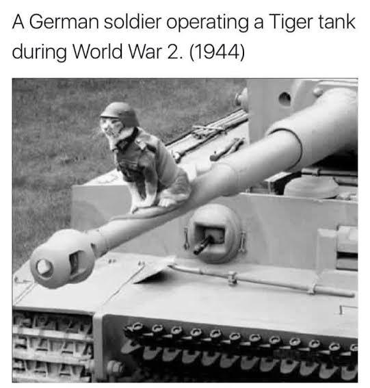 Achtung Panzer! - meme