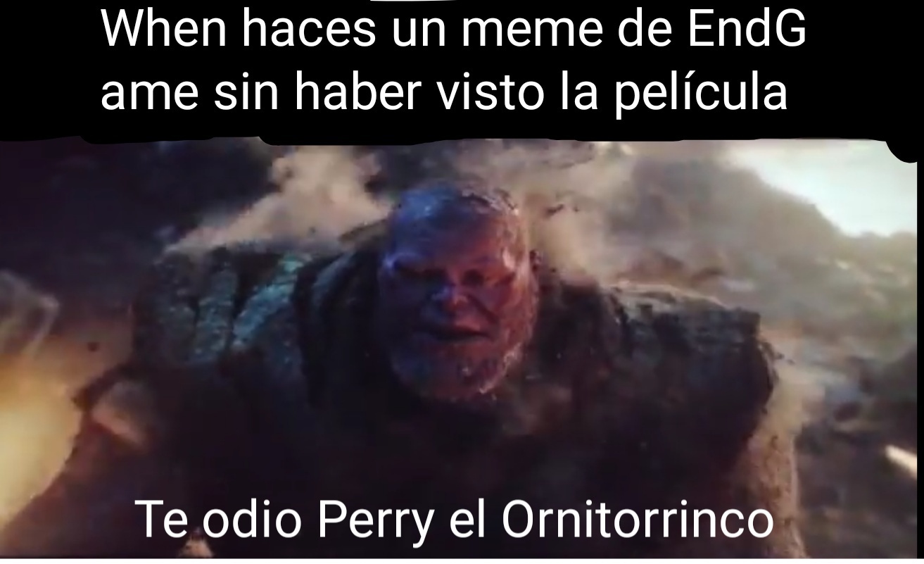 Te odio Perry el Ornitorrinco - meme