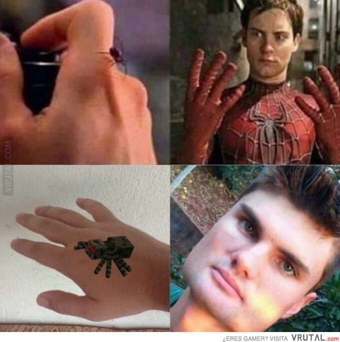 spidercraft - meme