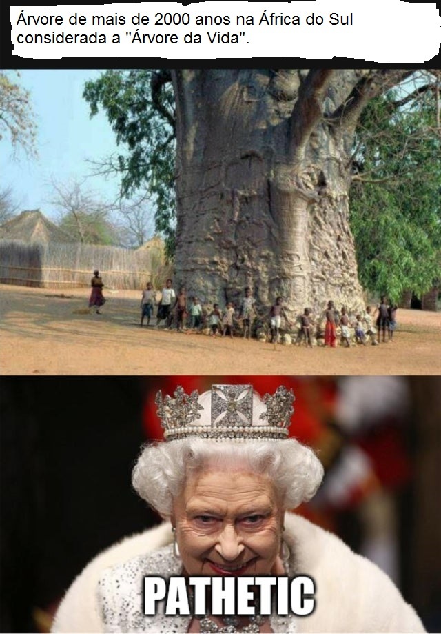 A Rainha Elizabeth é mais velha até com essa "Árvore da Vida" - meme