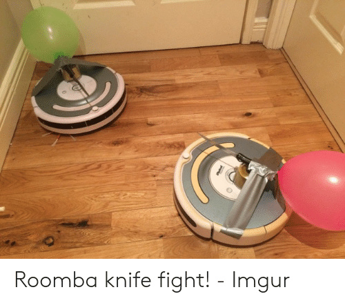The Best Roomba Memes Memedroid