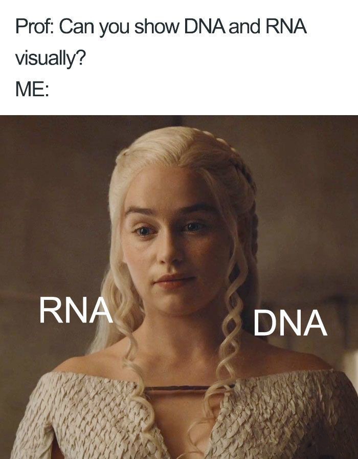 DNA and RNA - meme