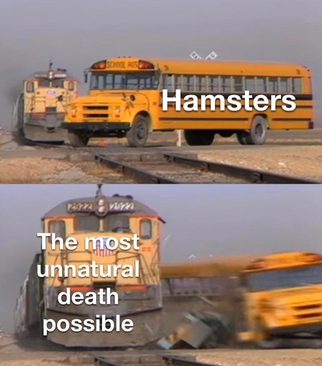 How'd your hamster die? - meme