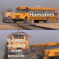 How'd your hamster die?